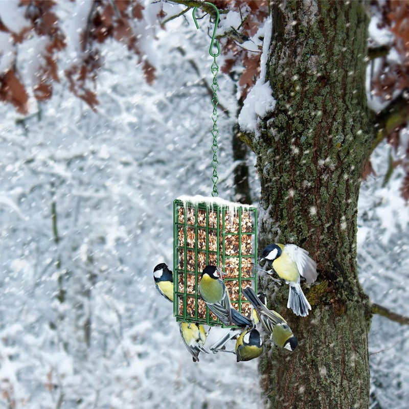 FLINTER Bird Feeder for Outdoors, Suet Feeder Hanging Bird Feeder, Hanging for Garden Yard Outside - Single Suet Cake Feeders fo Attracting Birds, Green - Image 3
